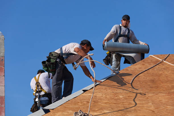 Best Roof Gutter Cleaning  in Ladera Heights, CA